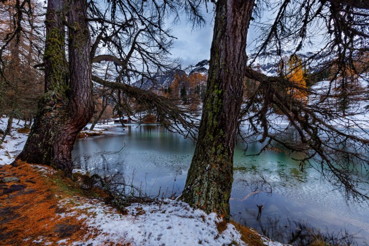 Albulapass, Alpen, Alpenpass, Autumn, Bergsee, Fall, Gewässer, Graubünden, Herbst, Schweiz, See, Suisse, Switzerland, lake, pass d'alvra