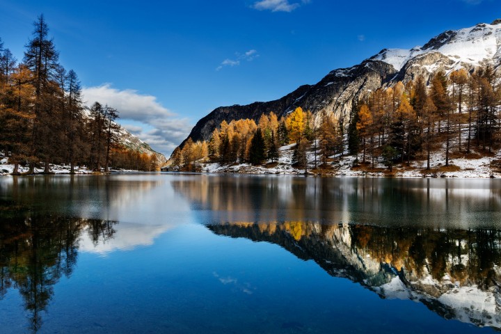 Albulapass, Alpen, Alpenpass, Autumn, Bergsee, Fall, Gewässer, Graubünden, Herbst, Schweiz, See, Suisse, Switzerland, lake, pass d'alvra