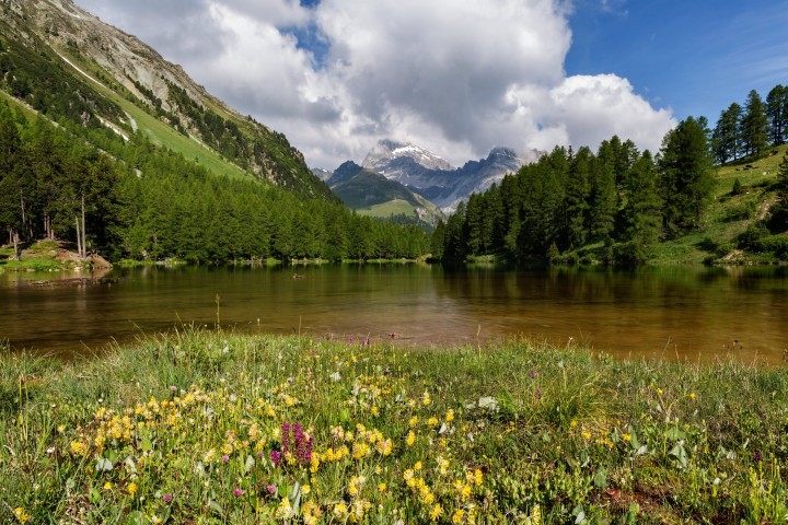 Albulapass, Alpen, Alpenpass, Bergsee, Clouds, Gewässer, Graubünden, Schweiz, See, Sommer, Suisse, Switzerland, Wolken, lake, pass d'alvra, summer