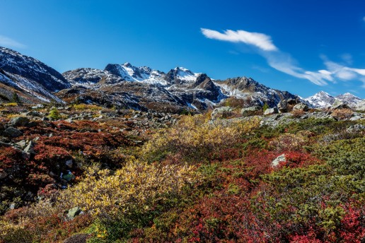 Albulapass, Alpen, Alpenpass, Autumn, Engadin, Fall, Graubünden, Herbst, Schweiz, Suisse, Switzerland, pass d'alvra
