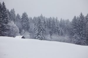 Appenzell, Appenzellerland, Jahreszeiten, Landschaft und Natur, Natur, Orte, Ostschweiz, Schweiz, Suisse, Switzerland, Winter