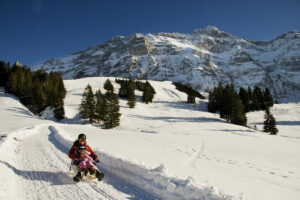 Appenzell, Jahreszeiten, Schweiz, Suisse, Switzerland, Säntis, Urnäsch, Winter