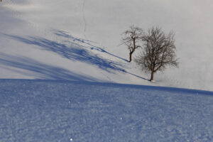 Appenzell, Jahreszeiten, Schweiz, Suisse, Switzerland, Winter