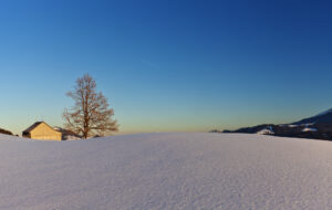 Appenzell, Schweiz, Suisse, Switzerland, Urnäsch