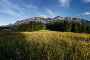 Appenzell, Appenzellerland, Orte, Ostschweiz, Schweiz, Suisse, Switzerland, Säntis, Urnäsch