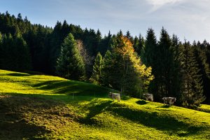 Appenzell, Appenzellerland, Orte, Ostschweiz, Schweiz, Suisse, Switzerland, Urnäsch