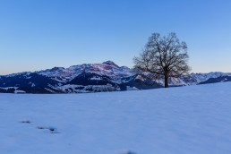Appenzell, Jahreszeiten, Schweiz, Suisse, Switzerland, Urnäsch, Winter