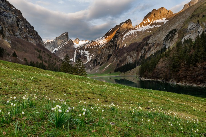 Alpstein, Appenzell, Appenzell Innerrhoden, Bergsee, Frühling, Schweiz, Seealpsee, Spring, Suisse, Switzerland, Säntis, lake