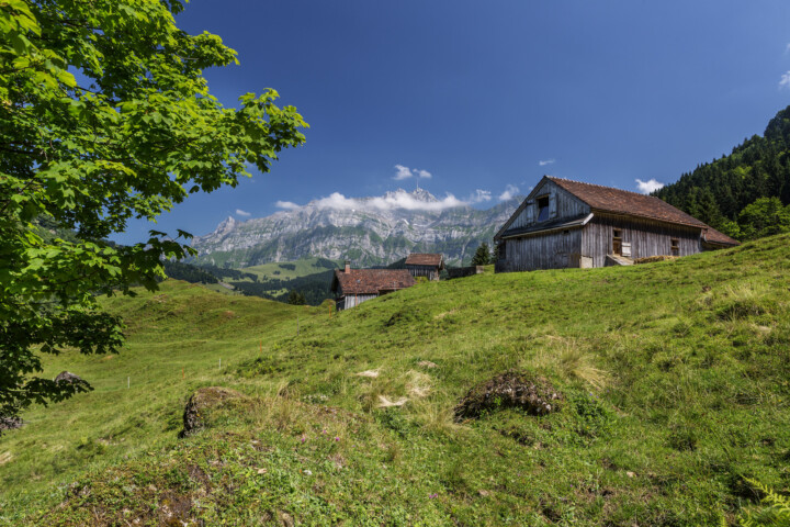 Appenzell, Schweiz, Sommer, Suisse, Switzerland, Säntis, Urnäsch, summer