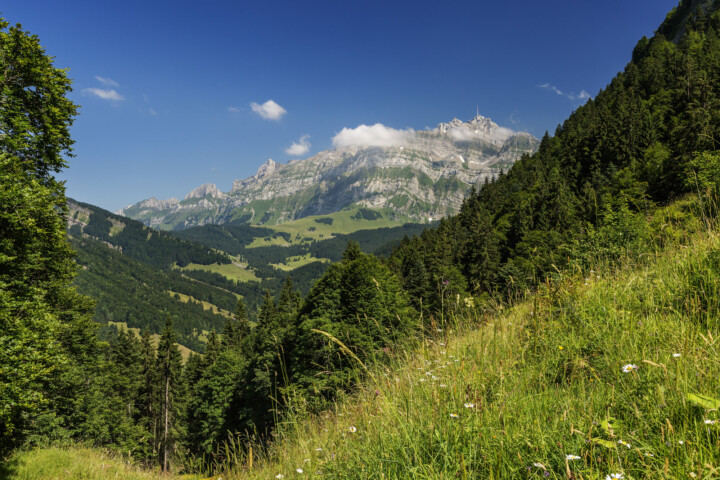 Appenzell, Schweiz, Sommer, Suisse, Switzerland, Säntis, Urnäsch, summer