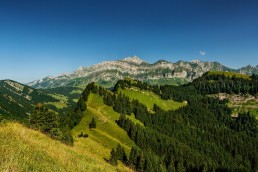 Appenzell, Hochalp, Schweiz, Sommer, Suisse, Switzerland, Säntis, Urnäsch, summer