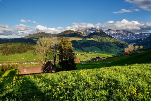 Appenzell, Frühling, Schweiz, Spring, Suisse, Switzerland, Säntis, Urnäsch