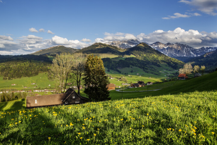 Appenzell, Frühling, Schweiz, Spring, Suisse, Switzerland, Säntis, Urnäsch