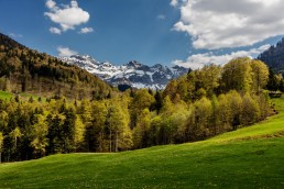Appenzell, Frühling, Schweiz, Spring, Suisse, Switzerland, Säntis, Urnäsch