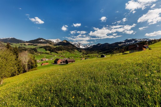 Appenzell, Frühling, Schweiz, Spring, Suisse, Switzerland, Urnäsch