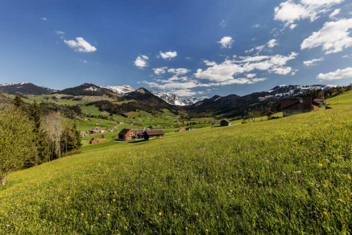 Appenzell, Frühling, Schweiz, Spring, Suisse, Switzerland, Urnäsch