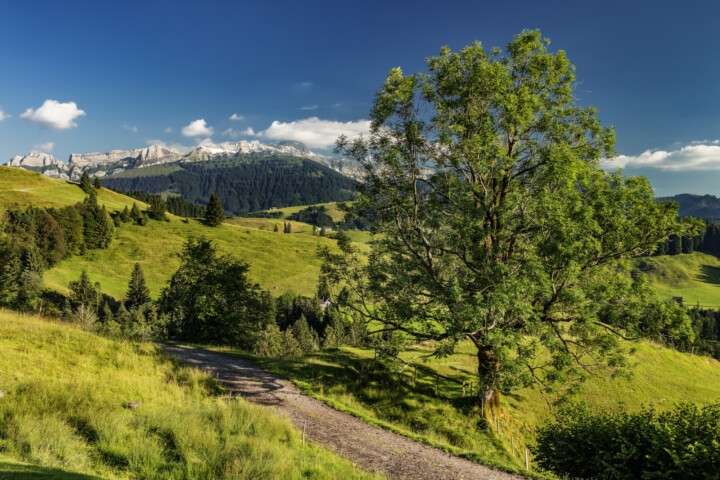 Appenzell, Hundwil, Schweiz, Sommer, Suisse, Switzerland, Säntis, summer