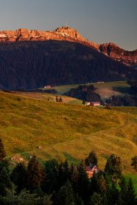 Appenzell, Appenzellerland, Hundwil, Jahreszeiten, Landschaft und Natur, Natur, Orte, Ostschweiz, Schweiz, Sommer, Suisse, Switzerland, Säntis, summer