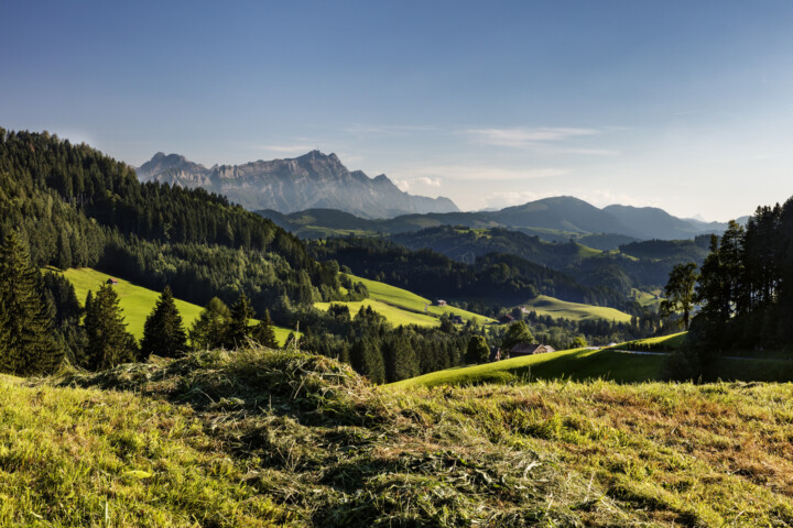 Appenzell, Schweiz, Sommer, Suisse, Switzerland, Säntis, Trogen, summer