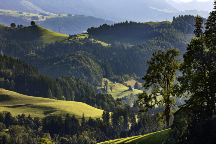 Appenzell, Schweiz, Sommer, Suisse, Switzerland, summer