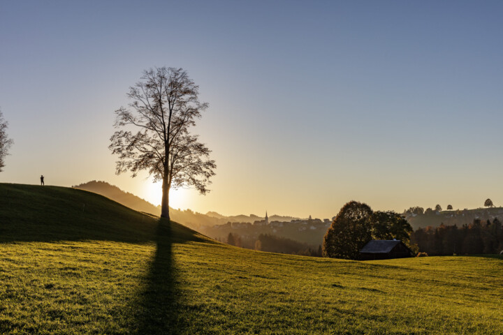 Appenzell, Appenzell Ausserrohden, Autumn, Baum, Dorf, Fall, Herbst, Ostschweiz, Schweiz, Suisse, Switzerland, Waldstatt