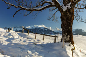 Appenzell, Jahreszeiten, Schweiz, Suisse, Switzerland, Säntis, Winter