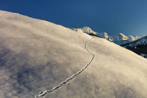 Appenzell, Jahreszeiten, Schweiz, Suisse, Switzerland, Säntis, Winter