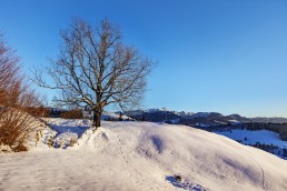 Appenzell, Jahreszeiten, Schweiz, Suisse, Switzerland, Säntis, Winter
