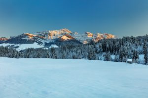 Appenzell, Appenzellerland, Jahreszeiten, Landschaft und Natur, Natur, Orte, Ostschweiz, Schweiz, Suisse, Switzerland, Säntis, Urnäsch, Winter