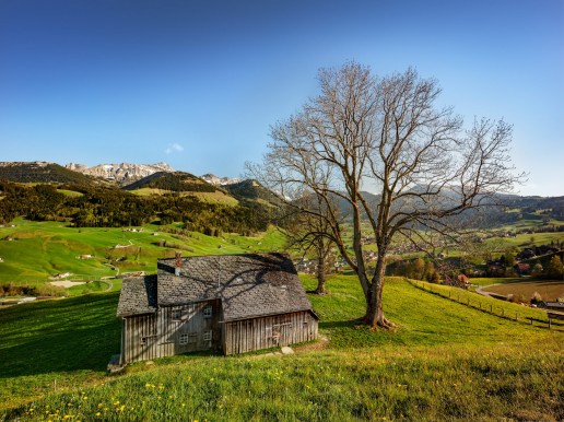 Appenzell, Frühling, Schweiz, Spring, Suisse, Switzerland, Säntis, Urnäsch