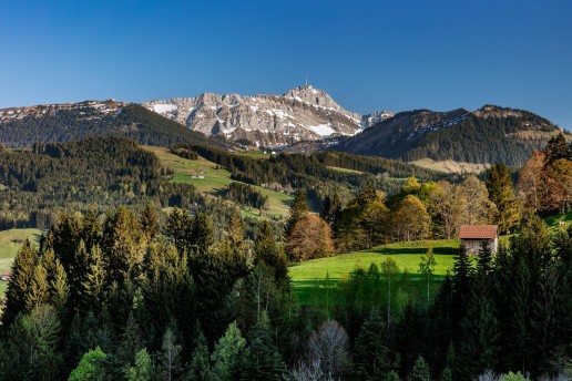 Appenzell, Frühling, Schweiz, Spring, Suisse, Switzerland, Säntis, Urnäsch