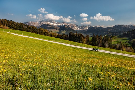 Appenzell, Frühling, Schweiz, Spring, Suisse, Switzerland, Säntis, Urnäsch