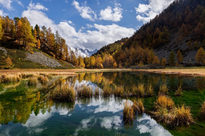 Alpen, Alpenpass, Autumn, Bernina, Berninapss, Engadin, Fall, Gewässer, Graubünden, Herbst, Passo del Bernina, Schweiz, See, Suisse, Switzerland