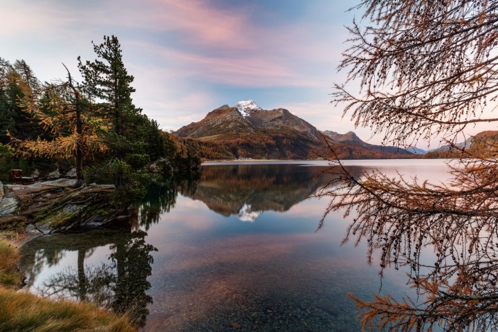 Alpen, Alpenpass, Alps, Autumn, Baum, Berg, Bergmassiv, Bergsee, Bäume, Engadin, Fall, Gewässer, Graubünden, Herbst, Maloja, Maloja-Pass, Malojapass, Schweiz, See, Suisse, Switzerland, Tree, Trees, Wald, lake
