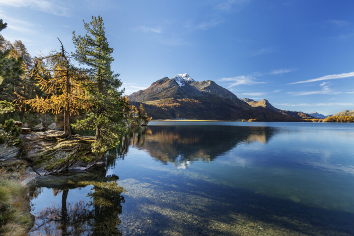 Alpen, Alpenpass, Alps, Autumn, Baum, Berg, Bergmassiv, Bergsee, Bäume, Engadin, Fall, Gewässer, Graubünden, Herbst, Maloja, Maloja-Pass, Malojapass, Schweiz, See, Suisse, Switzerland, Tree, Trees, Wald, lake