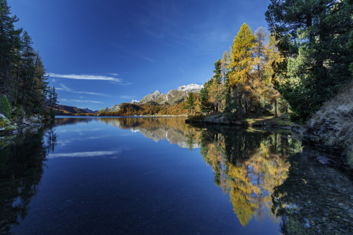 Alpen, Alpenpass, Alps, Autumn, Baum, Berg, Bergmassiv, Bergsee, Bäume, Engadin, Fall, Gewässer, Graubünden, Herbst, Maloja, Maloja-Pass, Malojapass, Schweiz, See, Suisse, Switzerland, Tree, Trees, Wald, lake