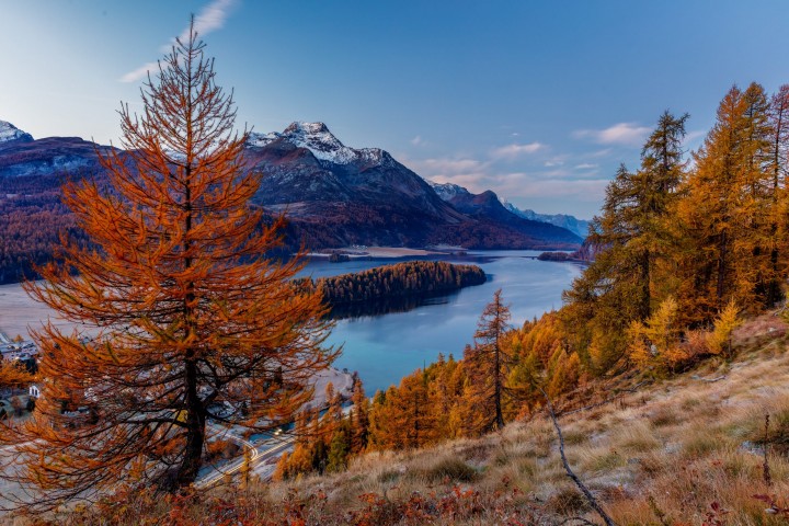 Alpen, Alpenpass, Autumn, Bergsee, Engadin, Fall, Gewässer, Graubünden, Herbst, Maloja, Maloja-Pass, Malojapass, Schweiz, See, Suisse, Switzerland