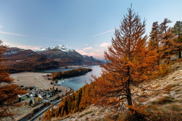 Alpen, Alpenpass, Autumn, Bergsee, Engadin, Fall, Gewässer, Graubünden, Herbst, Maloja, Maloja-Pass, Malojapass, Schweiz, See, Suisse, Switzerland
