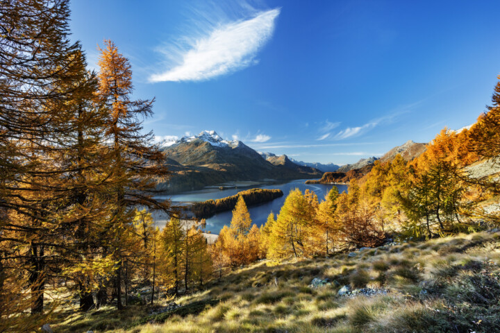Alpen, Alpenpass, Autumn, Bergsee, Engadin, Fall, Gewässer, Graubünden, Herbst, Maloja, Maloja-Pass, Malojapass, Schweiz, See, Suisse, Switzerland