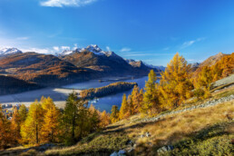 Alpen, Alpenpass, Autumn, Bergsee, Engadin, Fall, Gewässer, Graubünden, Herbst, Maloja, Maloja-Pass, Malojapass, Schweiz, See, Suisse, Switzerland