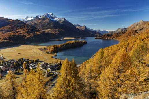 Alpen, Alpenpass, Autumn, Bergsee, Engadin, Fall, Gewässer, Graubünden, Herbst, Maloja, Maloja-Pass, Malojapass, Schweiz, See, Suisse, Switzerland