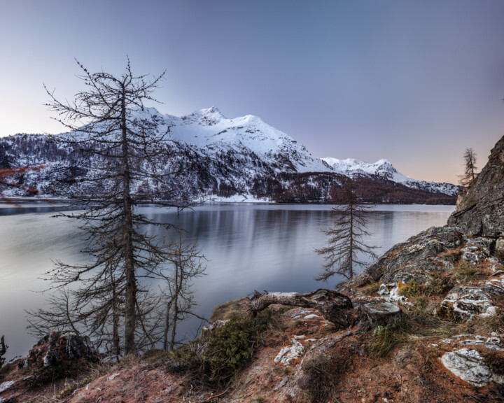 Alpen, Alpenpass, Alps, Autumn, Baum, Berg, Bergmassiv, Bergsee, Bäume, Engadin, Fall, Graubünden, Herbst, Maloja, Maloja-Pass, Malojapass, Morgen, Schweiz, See, Suisse, Switzerland, Tree, Trees, Wald, lake