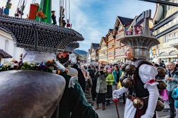 Appenzell, Appenzell Ausserrohden, Appenzeller Hinterland, Ostschweiz, Schweiz, Silvesterchlaus, Silvesterklausen, Suisse, Switzerland, Urnaesch, Urnäsch