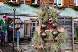 Appenzell, Appenzell Ausserrohden, Appenzeller Hinterland, Ostschweiz, Schweiz, Silvesterchlaus, Silvesterklausen, Suisse, Switzerland, Urnaesch, Urnäsch