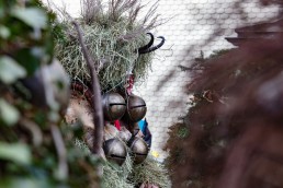 Appenzell, Appenzell Ausserrohden, Appenzeller Hinterland, Ostschweiz, Schweiz, Silvesterchlaus, Silvesterklausen, Suisse, Switzerland, Urnaesch, Urnäsch