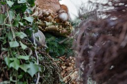 Appenzell, Appenzell Ausserrohden, Appenzeller Hinterland, Ostschweiz, Schweiz, Silvesterchlaus, Silvesterklausen, Suisse, Switzerland, Urnaesch, Urnäsch