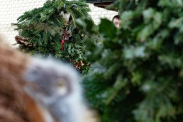 Appenzell, Appenzell Ausserrohden, Appenzeller Hinterland, Ostschweiz, Schweiz, Silvesterchlaus, Silvesterklausen, Suisse, Switzerland, Urnaesch, Urnäsch