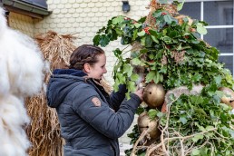 Appenzell, Appenzell Ausserrohden, Appenzeller Hinterland, Ostschweiz, Schweiz, Silvesterchlaus, Silvesterklausen, Suisse, Switzerland, Urnaesch, Urnäsch