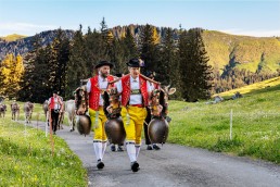 Alp, Alpaufzug, Alpfahrt, Appenzell, Brauchtum, Kühe, Schweiz, Schwägalp, Sennen, Suisse, Switzerland, Tracht, Urnäsch, tradition