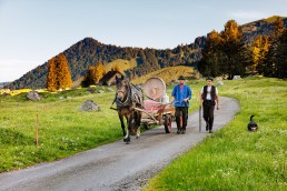 Alp, Alpaufzug, Alpfahrt, Appenzell, Brauchtum, Kühe, Schweiz, Schwägalp, Sennen, Suisse, Switzerland, Tracht, Urnäsch, tradition